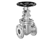 Gate Valve