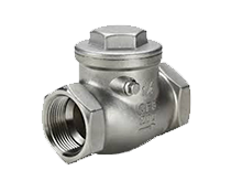 Check Valve
