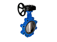 Butterfly Valve