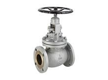 Globe Valve