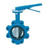 Flanged Expansion Butterfly Valve