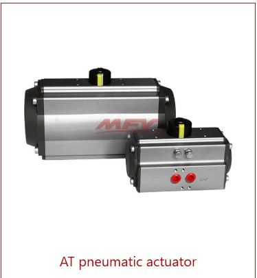 AT pneumatic actuator