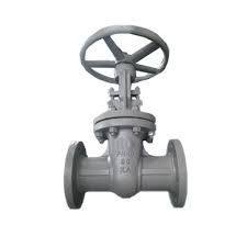 Gost globe valve