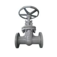 Gost globe valve