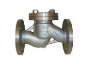 National standard lift check valve