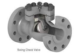 Swing Check Valve