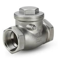 Stainless steel swing check valve