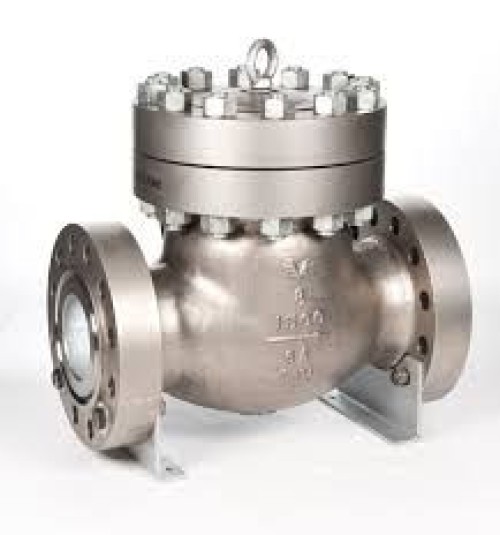 Swing Check Valve