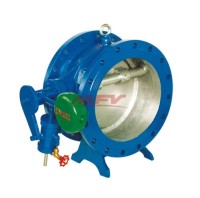 Butterfly Slow-Closing Check Valve