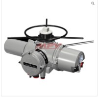 Electrics actuator