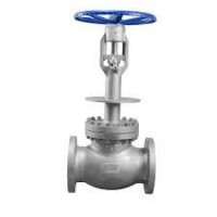 globe valve lng