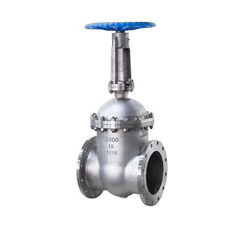 Gost flanged gate valve