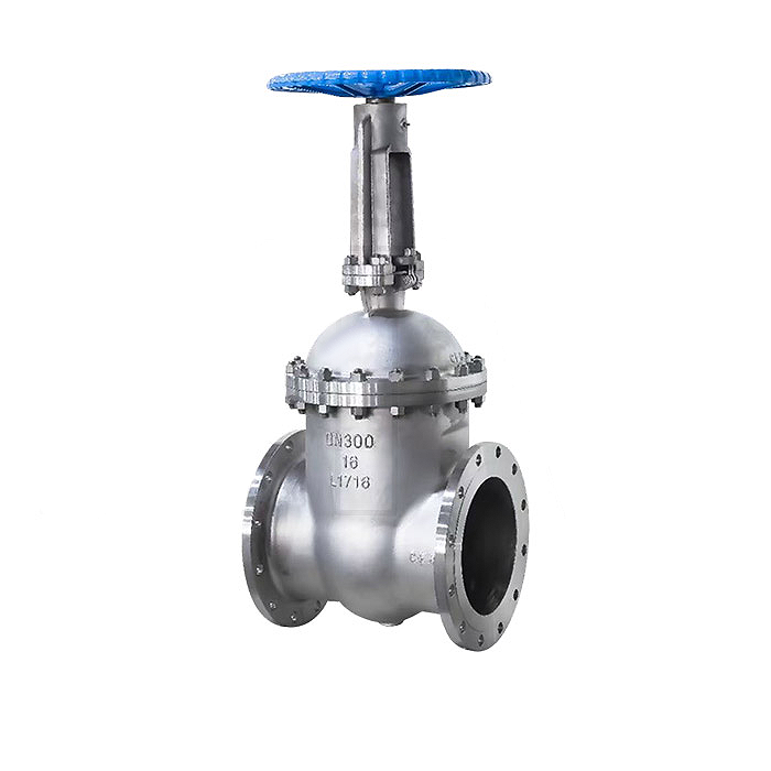 Gost flanged gate valve