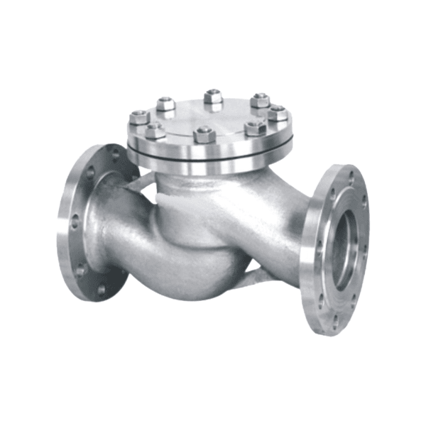 National standard lift check valve