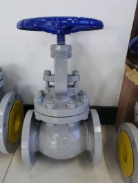 Jist globe valve