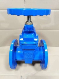 Gate valve