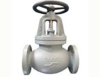 Jist globe valve