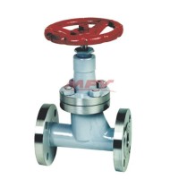 LNG gas globe valve