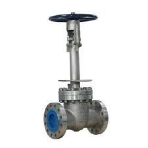 globe valve lng