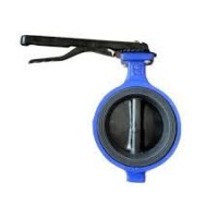 Flanged Expansion Butterfly Valve