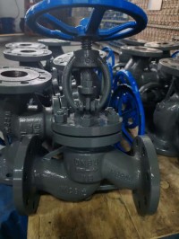 Gost globe valve